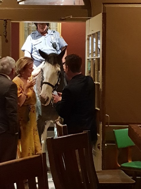 A horse walks into a bar